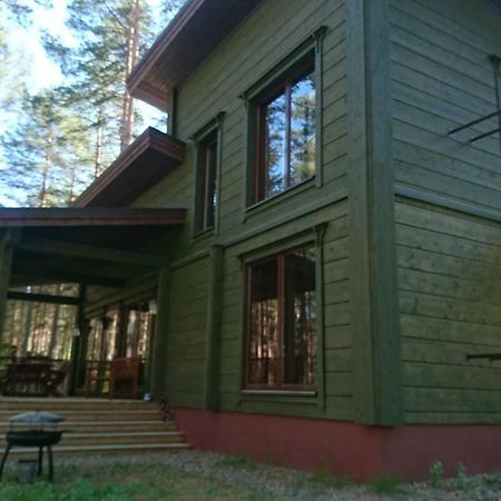 Kultainen Kaava度假屋 Padasjoki 外观 照片
