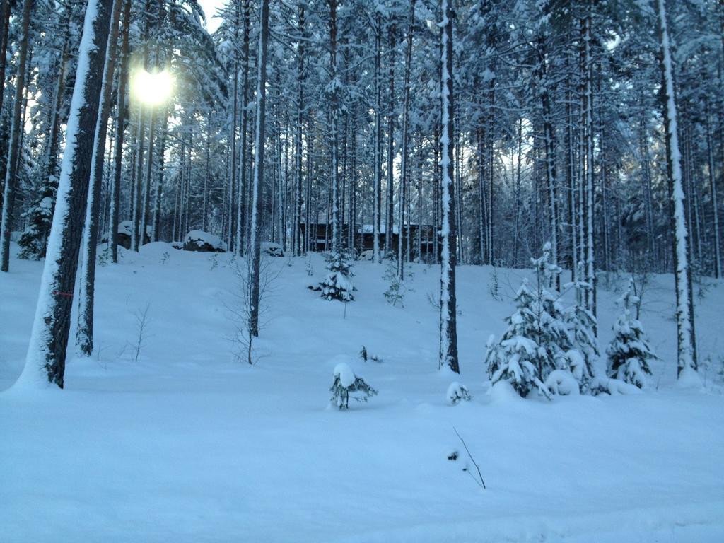 Kultainen Kaava度假屋 Padasjoki 外观 照片
