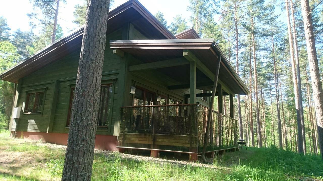 Kultainen Kaava度假屋 Padasjoki 外观 照片